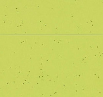 Forbo Sphera Energetic 50214 lime фото 2 | FLOORDEALER